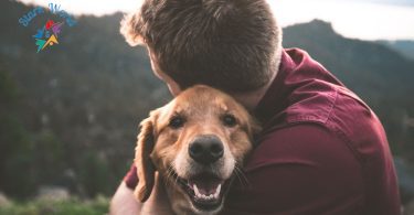 10 Essential Tips for Successful Pet Adoption: A Comprehensive Guide for New Owners