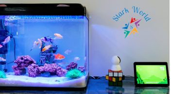 Step-by-Step Guide on Setting Up Your Freshwater Aquarium